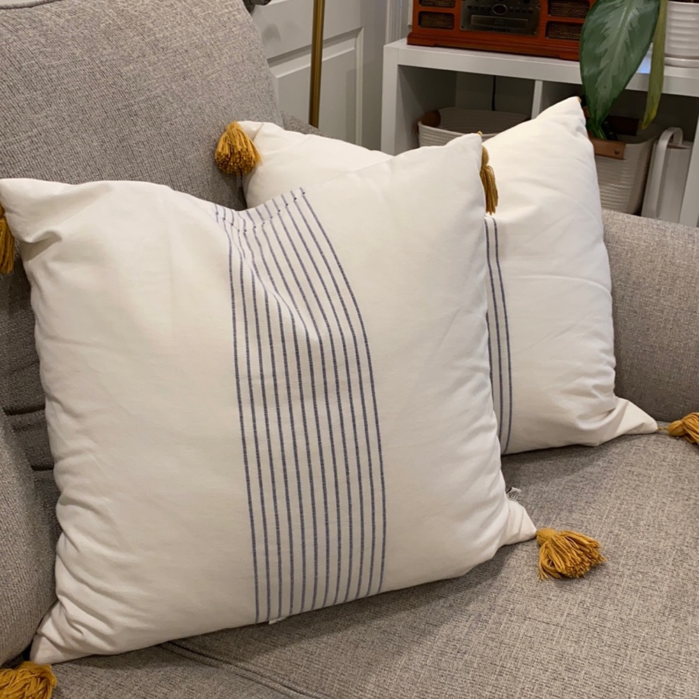 Two Hearth & Hand Throw Pillows